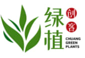 练之槐